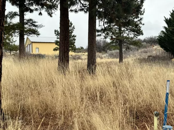 Chiloquin, OR 97624,Margi CT #Lot 12