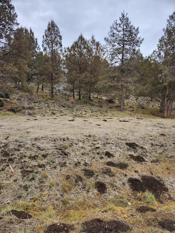 Klamath Falls, OR 97601,Parula RD #Lot 1150