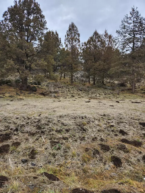 Klamath Falls, OR 97601,Parula RD #Lot 1150