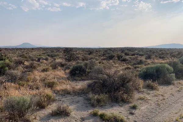 Christmas Valley, OR 97641,Oil Dry RD #700