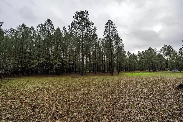 Rogue River, OR 97537,1475 Pleasant Creek RD