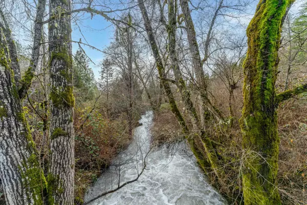 Selma, OR 97538,1491 Draper Valley RD