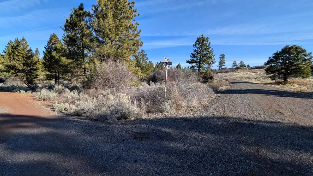 Chiloquin, OR 97624,00 Treeland CT #1