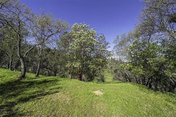 Ashland, OR 97520,665 Leonard ST