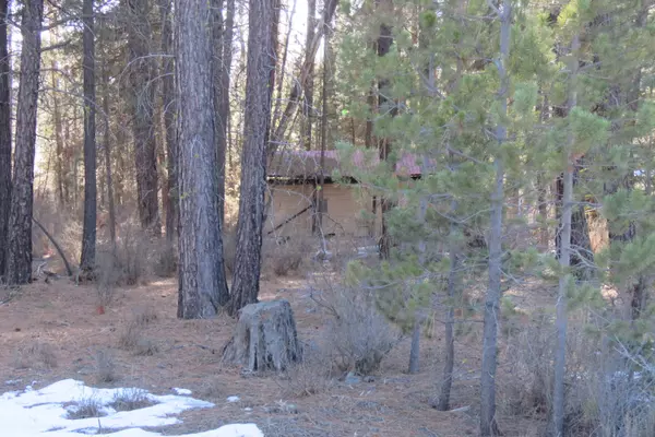 Chiloquin, OR 97624,1258 Burr AVE