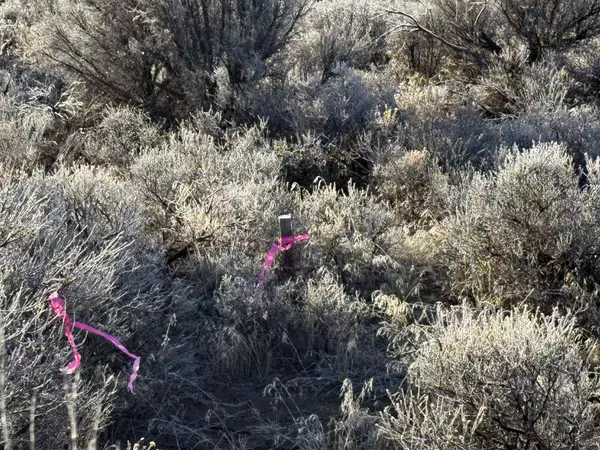 Christmas Valley, OR 97641,Aspen ST #L500