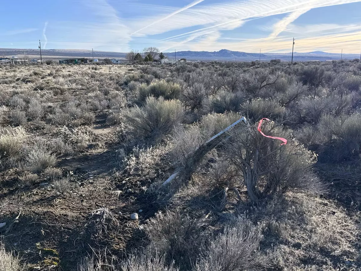 Christmas Valley, OR 97641,Cedar ST #L3000