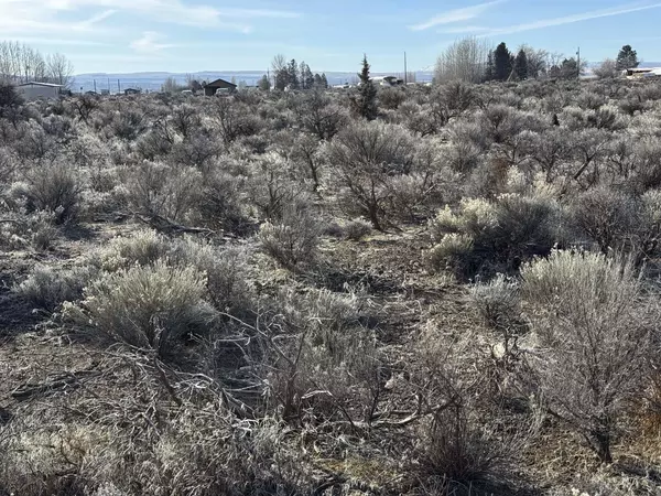 Christmas Valley, OR 97641,Winter ST #L-1200