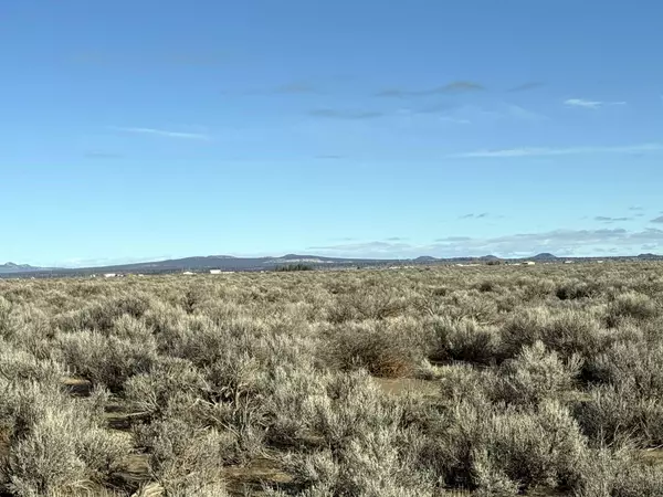 Christmas Valley, OR 97641,South Rainbow RD #TL-102