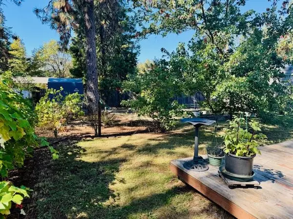 Cave Junction, OR 97523,202 Junction AVE