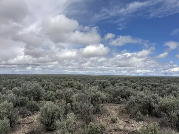 Christmas Valley, OR 97641,Lost Forest LN #TL 5200