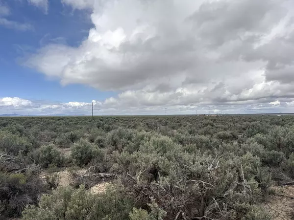 Christmas Valley, OR 97641,Lost Forest LN #TL 5200