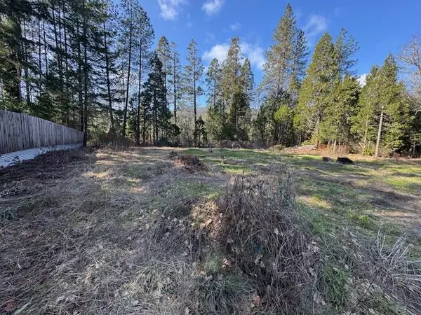 Cave Junction, OR 97523,254 Burch DR