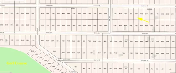 Christmas Valley, OR 97641,Summer ST #3800