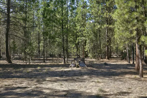 La Pine, OR 97739,51915 Swiss Pine