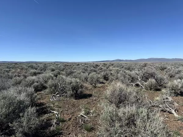 Plush, OR 97637,McDowell Creek RD #TL 500