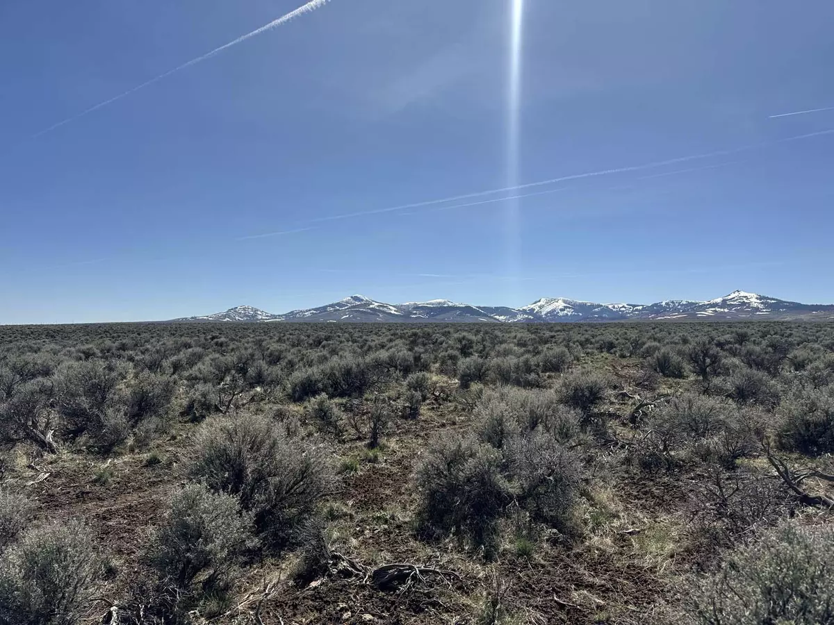 Plush, OR 97637,McDowell Creek RD #TL 500