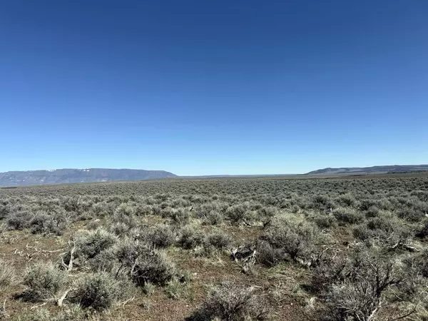 Plush, OR 97637,McDowell Creek RD #TL 500