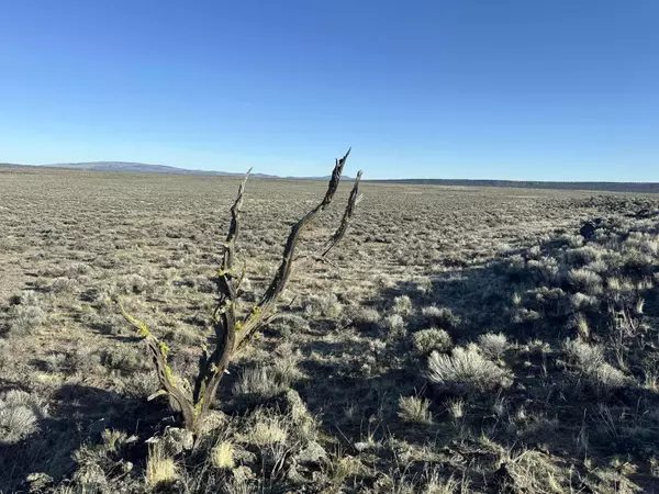 Brothers, OR 97712,HWY 20 #TL 300