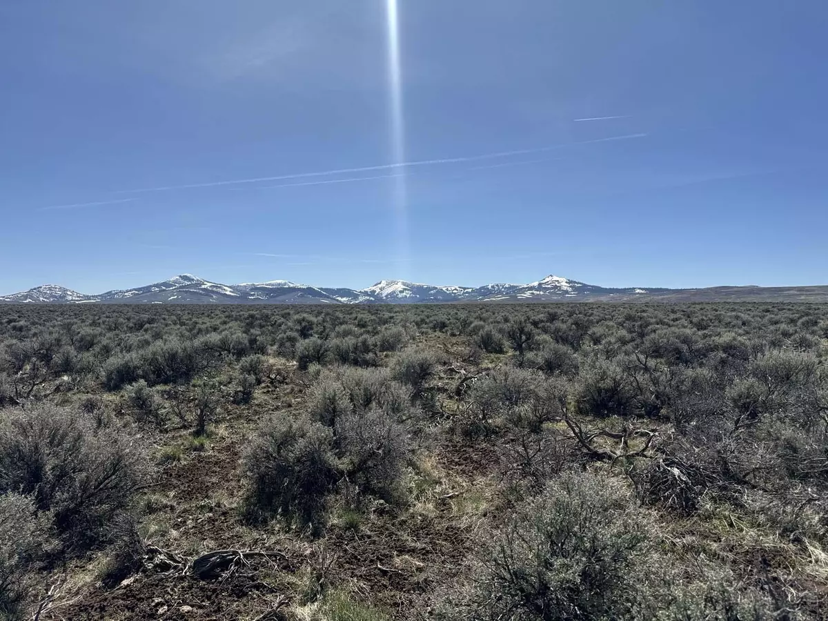 Plush, OR 97637,McDowell Creek RD #TL 600