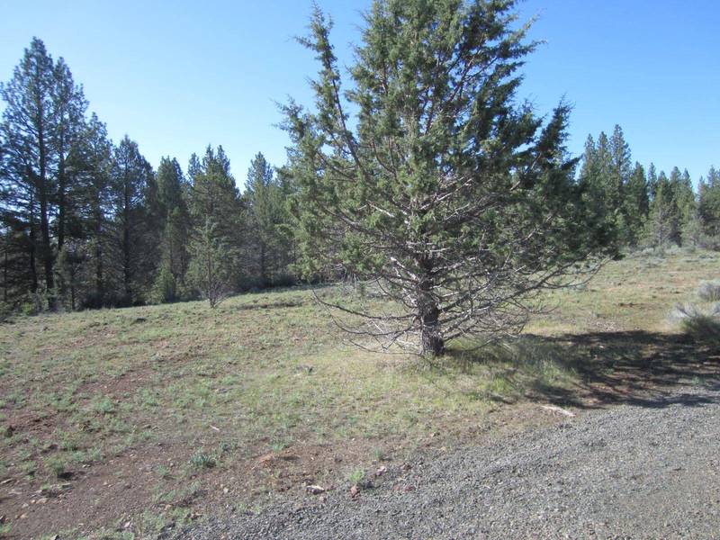 Lot 26 Kotya LN, Bly, OR 97622