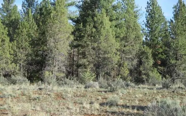 Bly, OR 97622,0 Kotya LN #26