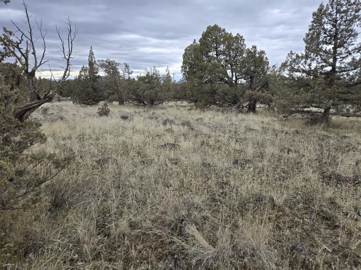 Redmond, OR 97756,Coyner #1