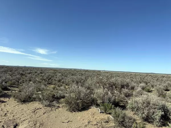 Christmas Valley, OR 97641,Off Piglet WAY #TL 9500