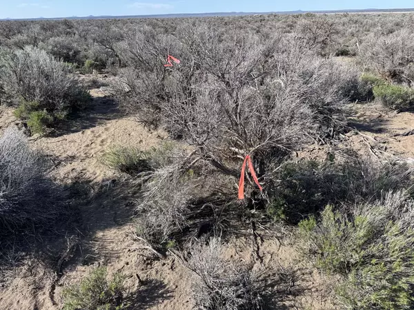 Christmas Valley, OR 97641,Off Piglet WAY #TL 9500