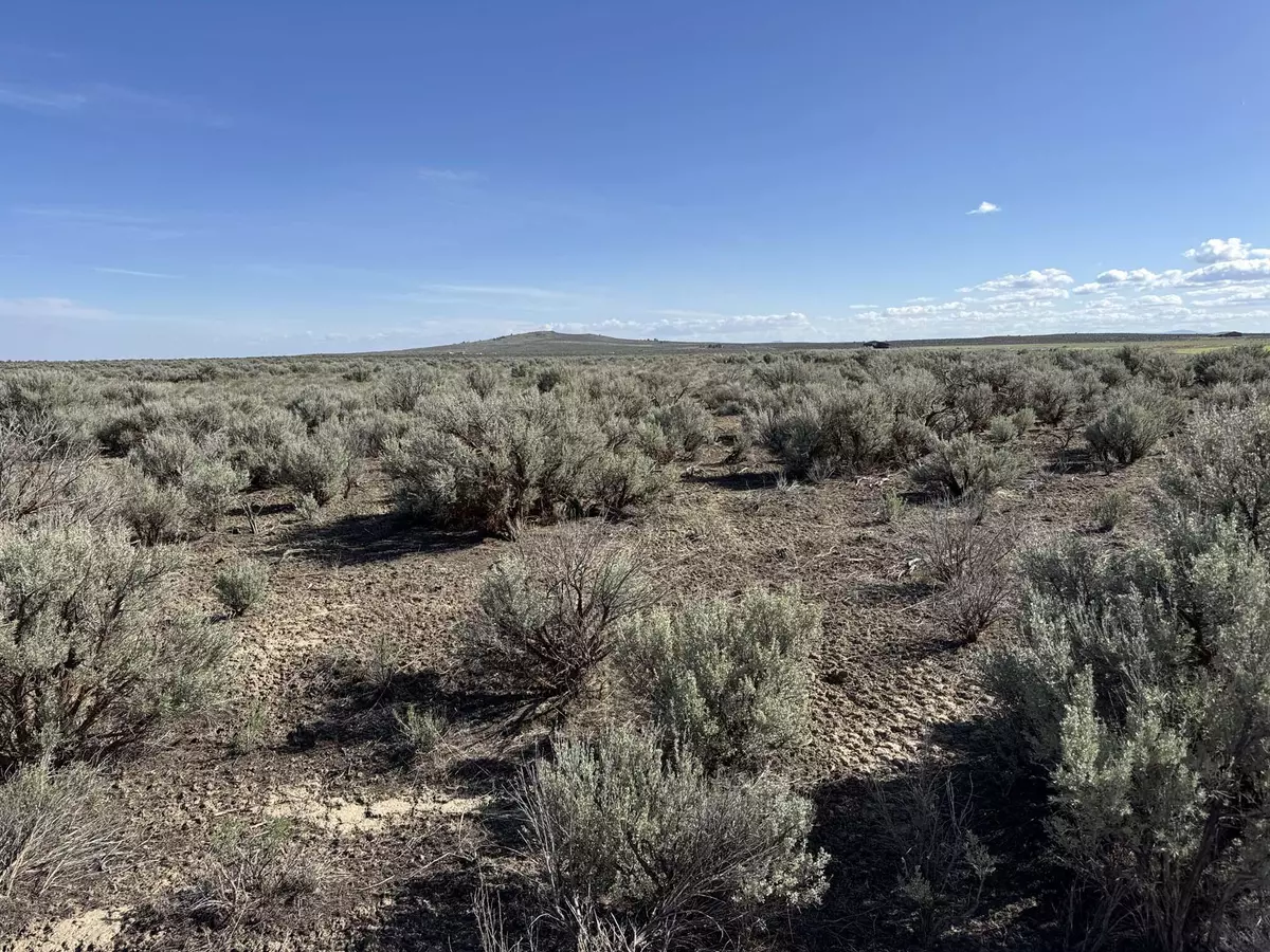 Christmas Valley, OR 97641,Piglet WAY #4800