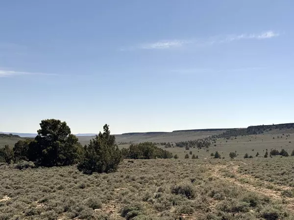 Adel, OR 97620,Warner HWY 140 #TL 1100