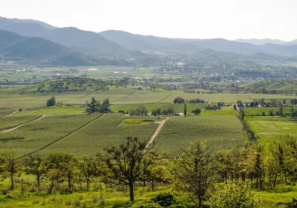 540 Valley View RD, Ashland, OR 97520