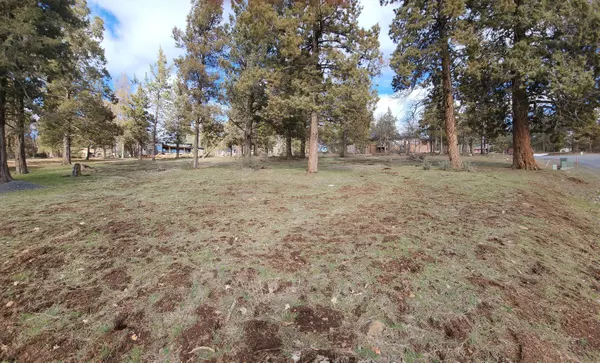 Klamath Falls, OR 97601,Coopers Hawk #260