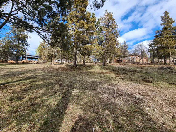 Klamath Falls, OR 97601,Coopers Hawk #260