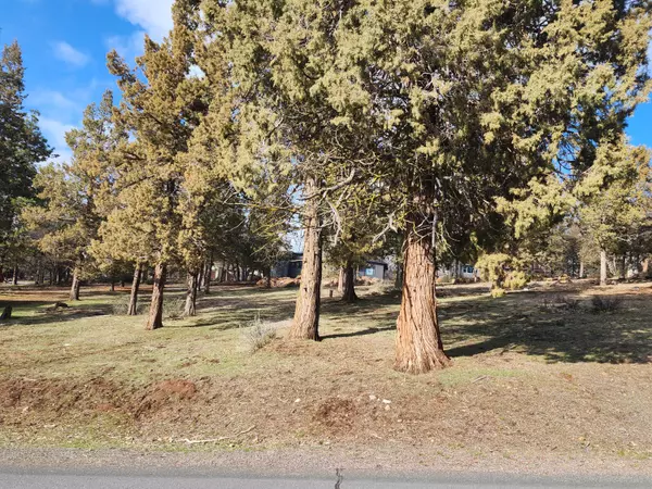 Klamath Falls, OR 97601,Coopers Hawk #260