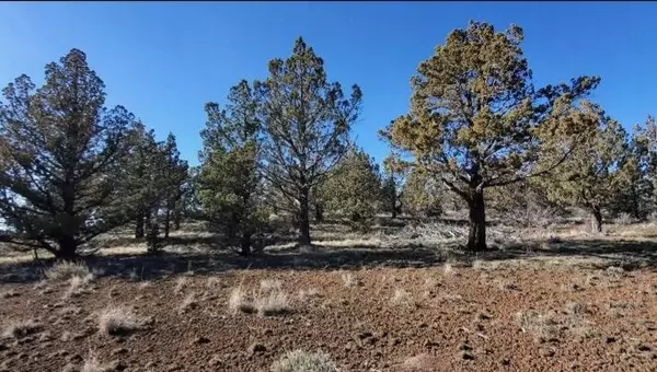 Prineville, OR 97754,19725 Upper Ridge RD