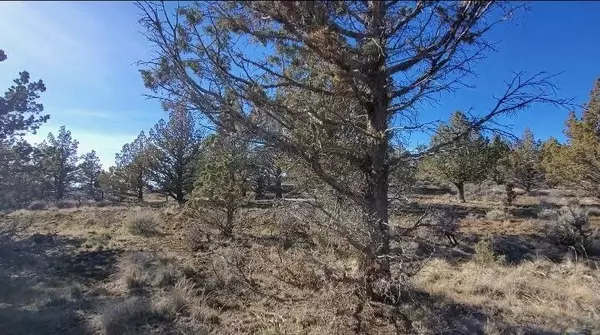 Prineville, OR 97754,19725 Upper Ridge RD