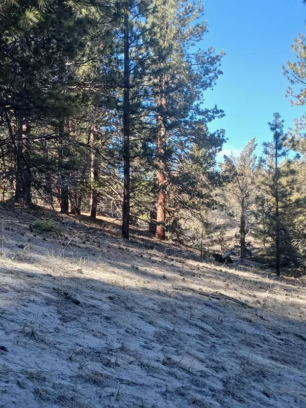 Beatty, OR 97621,0 Drews RD