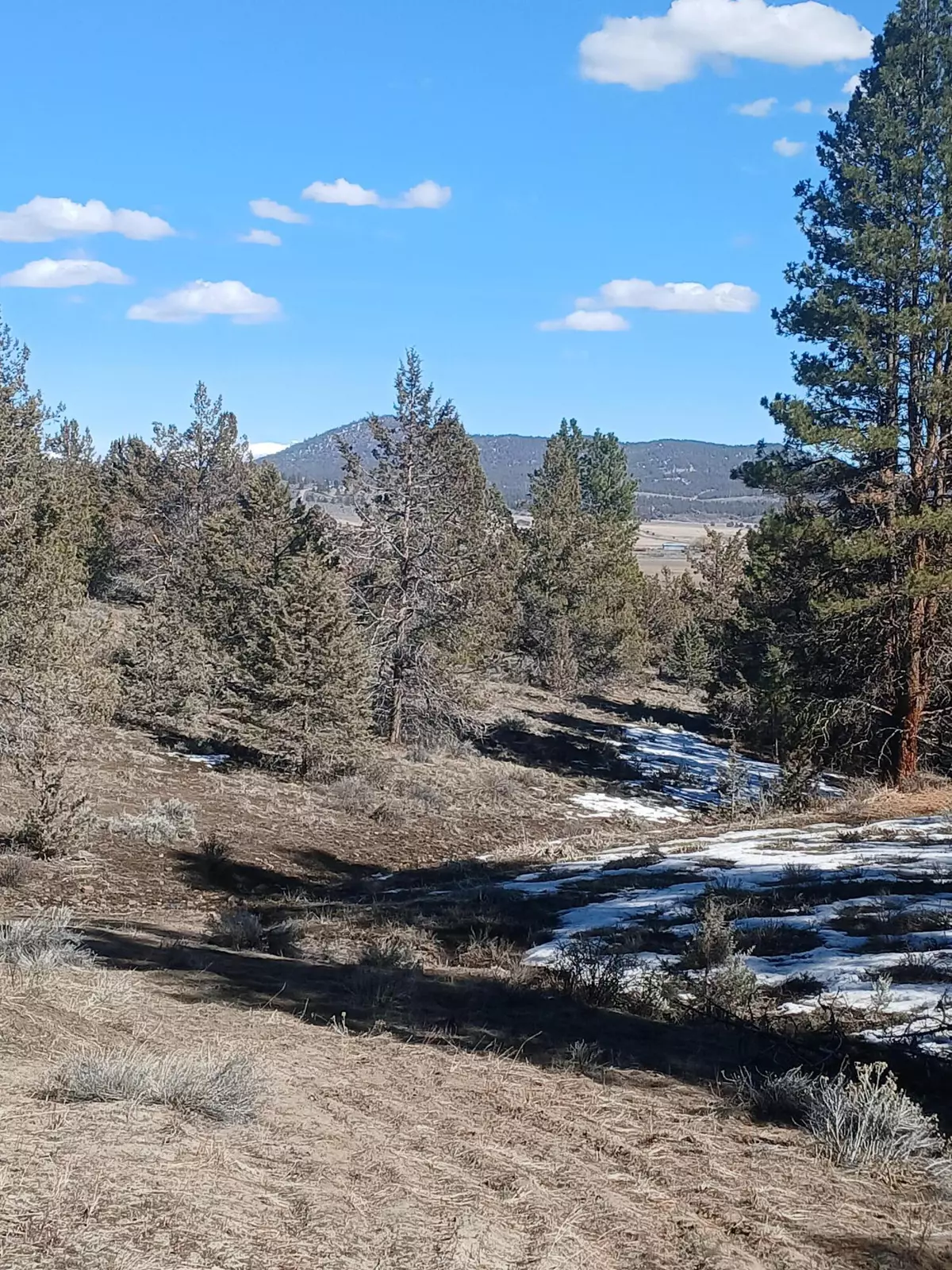 Beatty, OR 97621,0 Drews RD