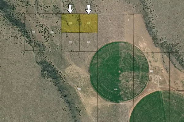 Christmas Valley, OR 97641,0 Butte Valley Rd