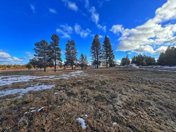 La Pine, OR 97739,52875 Timber Lane LOOP