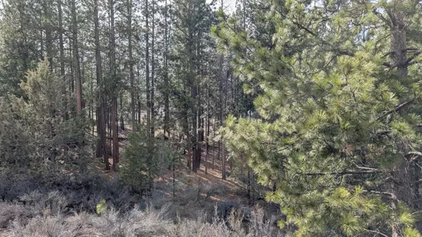 Chiloquin, OR 97624,Chipps #25