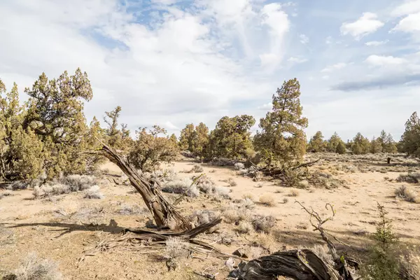 Bend, OR 97701,65660 Pronghorn Estates DR #Lot 29