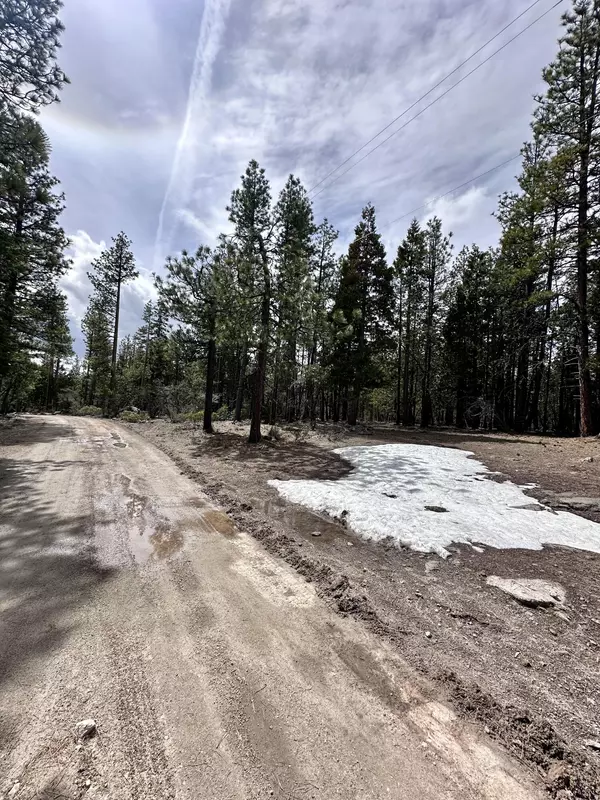 Bonanza, OR 97623,Blackbird DR #10 & 11