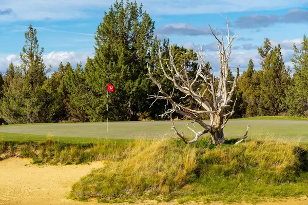 22958 Hideaway LN, Bend, OR 97701