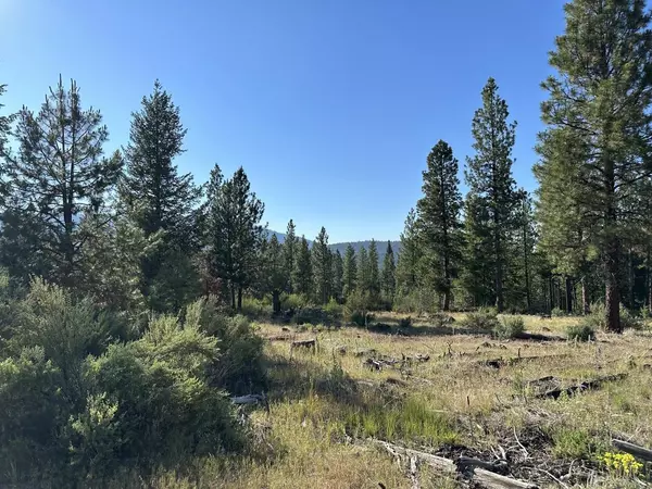 Chiloquin, OR 97624,NKA BLM road 5817