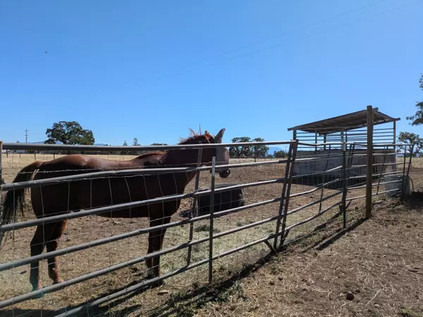 Central Point, OR 97502,7365 Blackwell RD