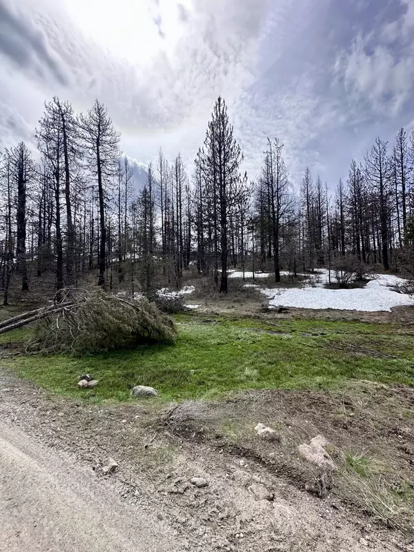 Bonanza, OR 97623,Kingfisher DR #Lot 15