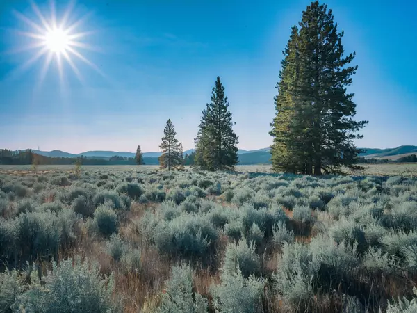 Bly, OR 97622,Fishhole Creek RD