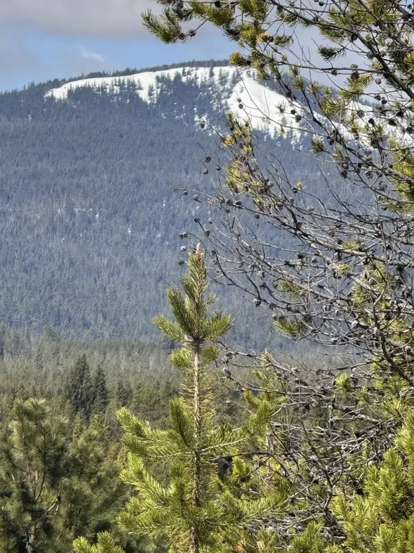 Crescent Lake, OR 97733,Crescent Moon DR #13